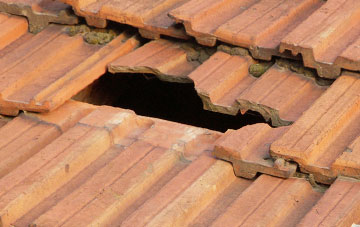 roof repair Ludgershall